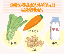 カルシウムの多い食品はこんなもの!