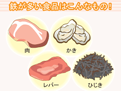 鉄が多い食品はこんなもの!