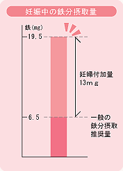妊娠中の鉄分摂取量