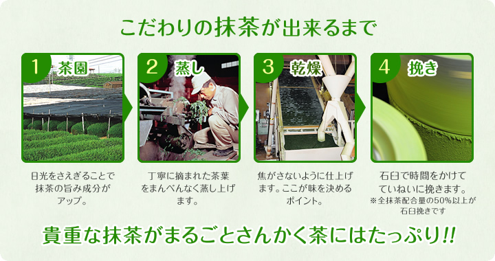 こだわりの抹茶が出来るまで