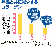年齢と共に減少するコラーゲン