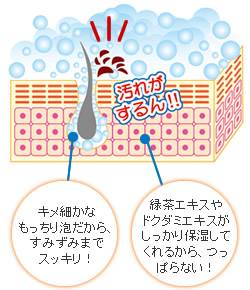 キメ細かなもっちり泡だから、すみずみまでスッキリ!緑茶エキスやドクダミエキスがしっかり保湿してくれるから、つっぱらない!