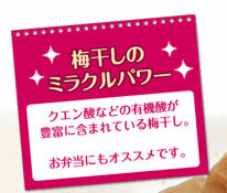 梅干しのミラクルパワークエン酸などの有機酸が豊富に含まれている梅干し。菌に強いパワーもあるから、お弁当にもオススメです。