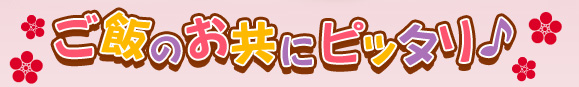 ご飯のお供にピッタリ!