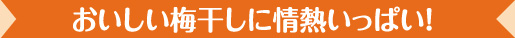 おいしい梅干しに情熱いっぱい!