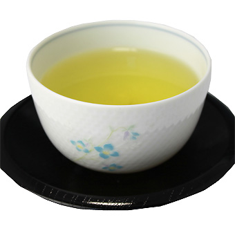 駿遠茶ポット用２０個入