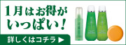 炭の露商品へ