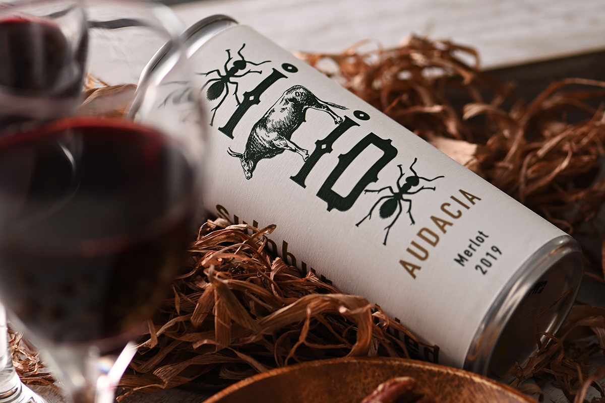 中川珠里 ルイボスワイン ティーライフ