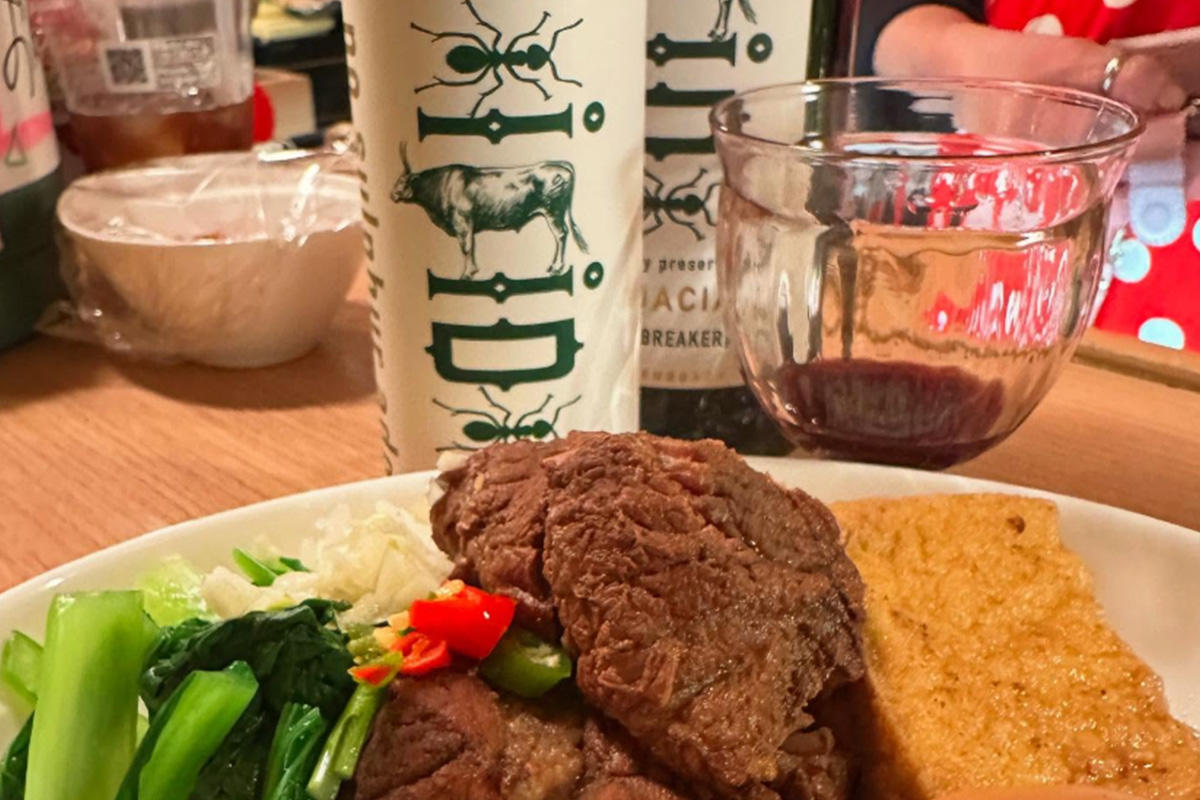 中川珠里 ルイボスワイン ティーライフ