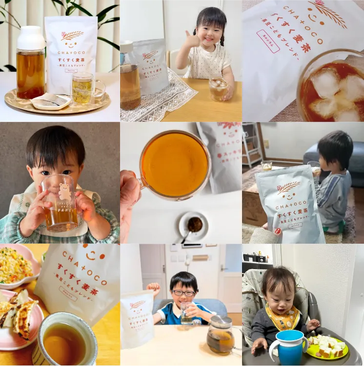 いろいろな写真