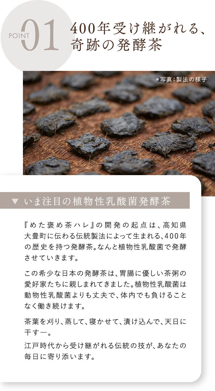 400年受け継がれる、奇跡の発酵茶
