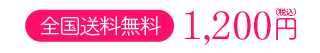 初回限定 1,980円（税込）