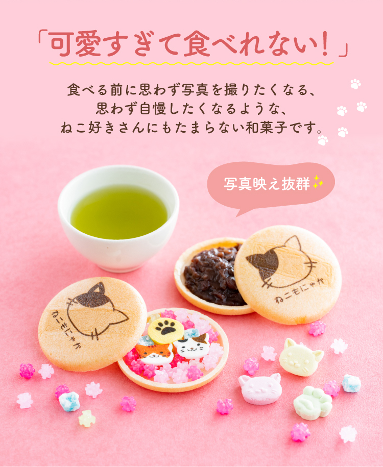 写真映え抜群!
