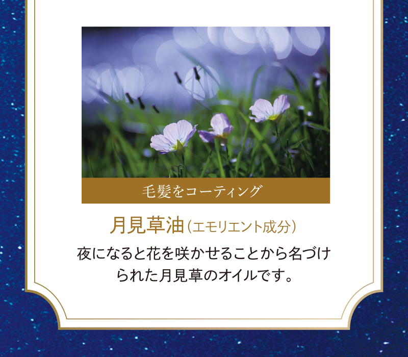 毛髪をコーティング（月見草油：エモリエント成分）