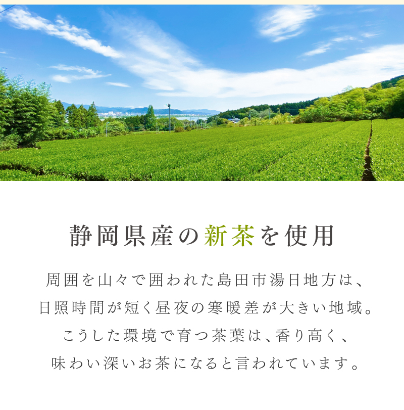 やぶ北深蒸し茎茶