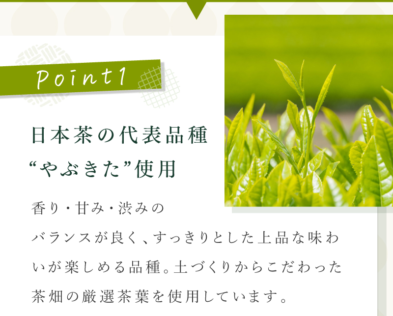 やぶ北深蒸し茎茶