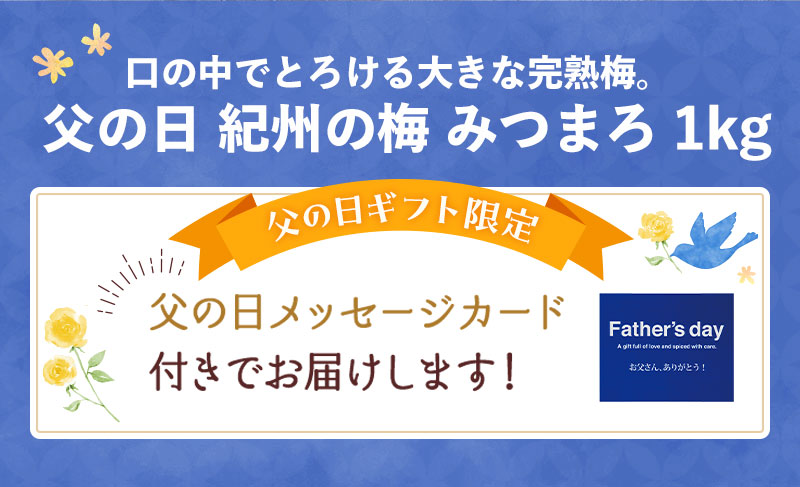 セット内容：紀州の梅 みつまろ1kg（父の日メッセージカード付）