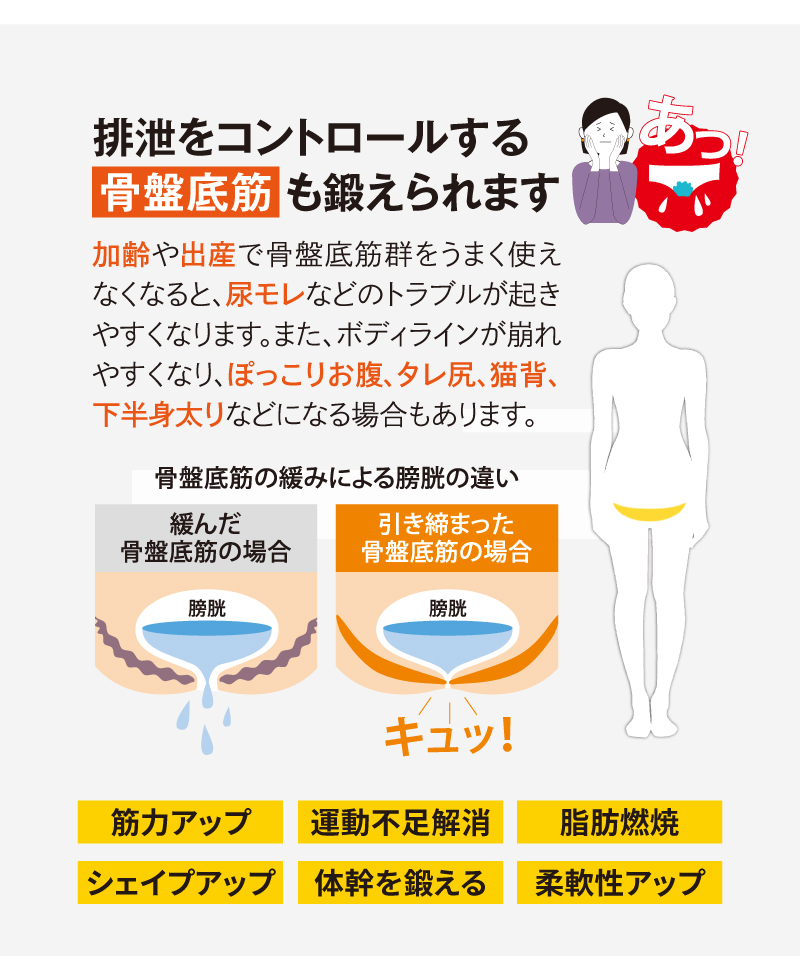 排泄をコントロールする骨盤底筋も鍛えられます