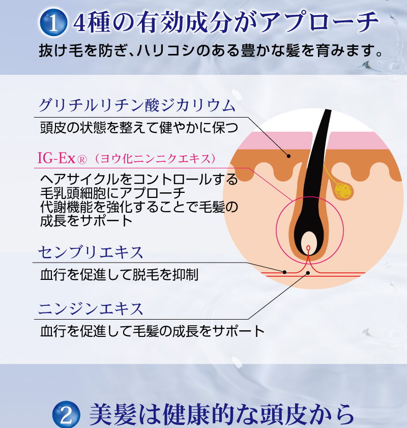 サロン専売！育毛剤の3つのポイント（1）ヨウ化ニンニクエキス、センブリエキスなど4種の有効成分がアプローチ