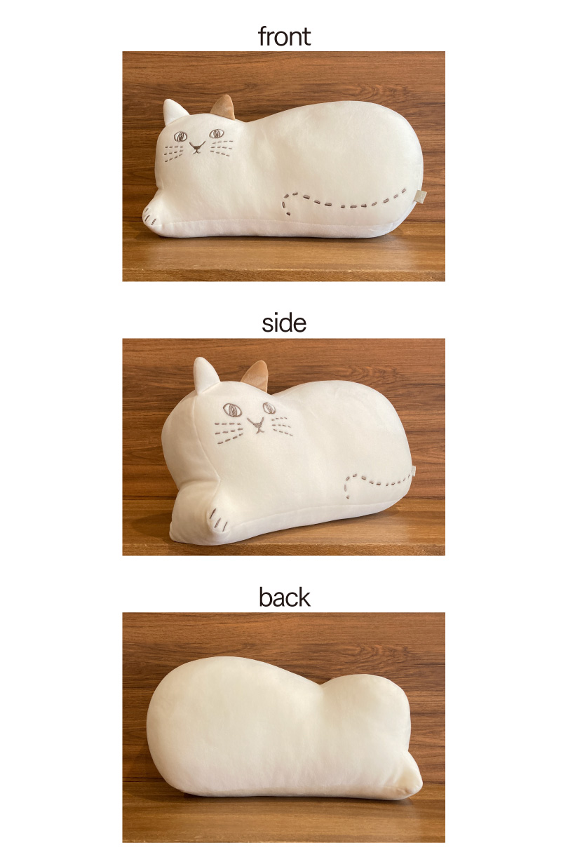 全面・側面・背面のイメージ