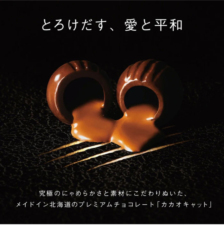 究極のにゃめらかさと素材にこだわりぬいた、明度イン北海道のプレミアムチョコレート「カカオキャット」
