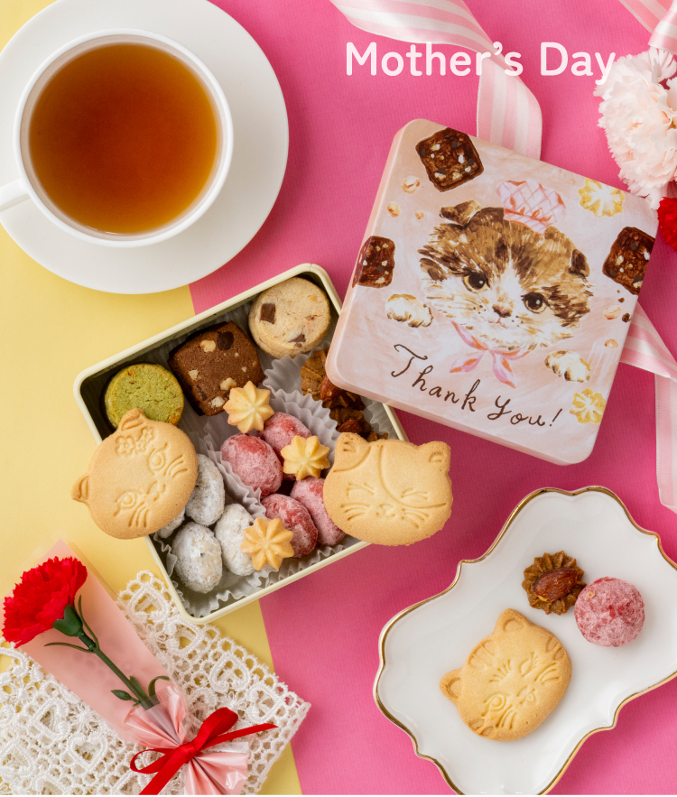 こねこのこねこねクッキーセット