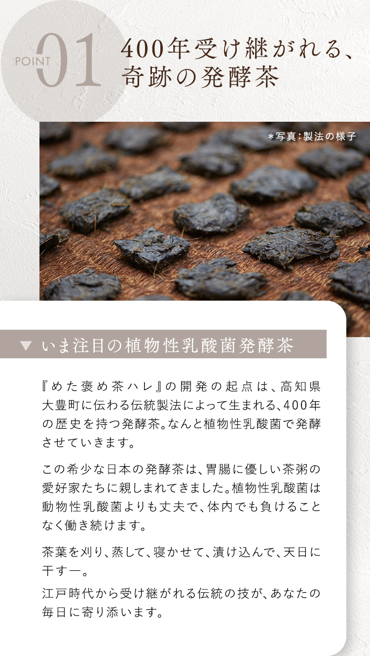 ①400年受け継がれる、奇跡の発酵茶
