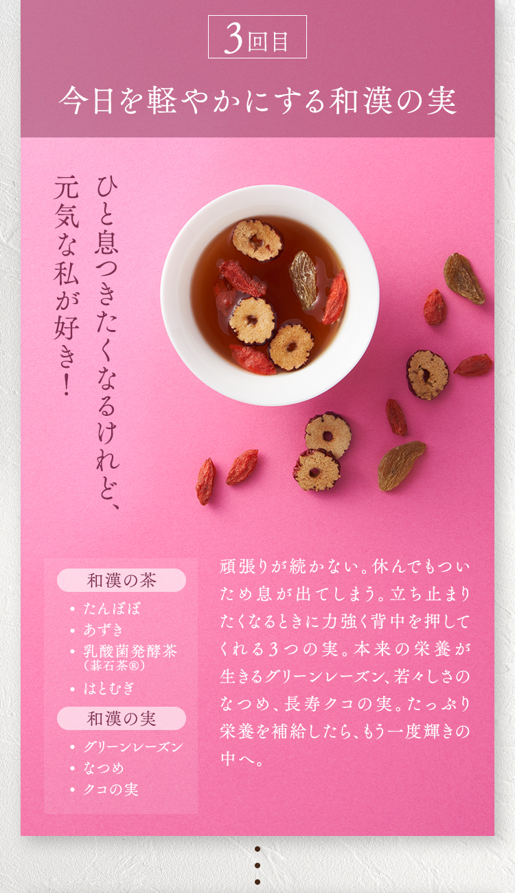 ３回目　すっきり爽やかな気分に誘う和漢の実