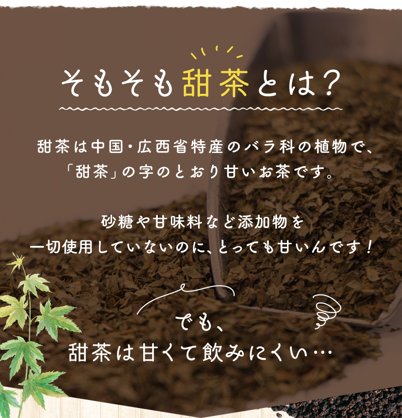 甜茶は中国・広西省特産のバラ科の植物で、「甜茶」の字のとおり甘いお茶です。でも、甘くて飲みにくい…