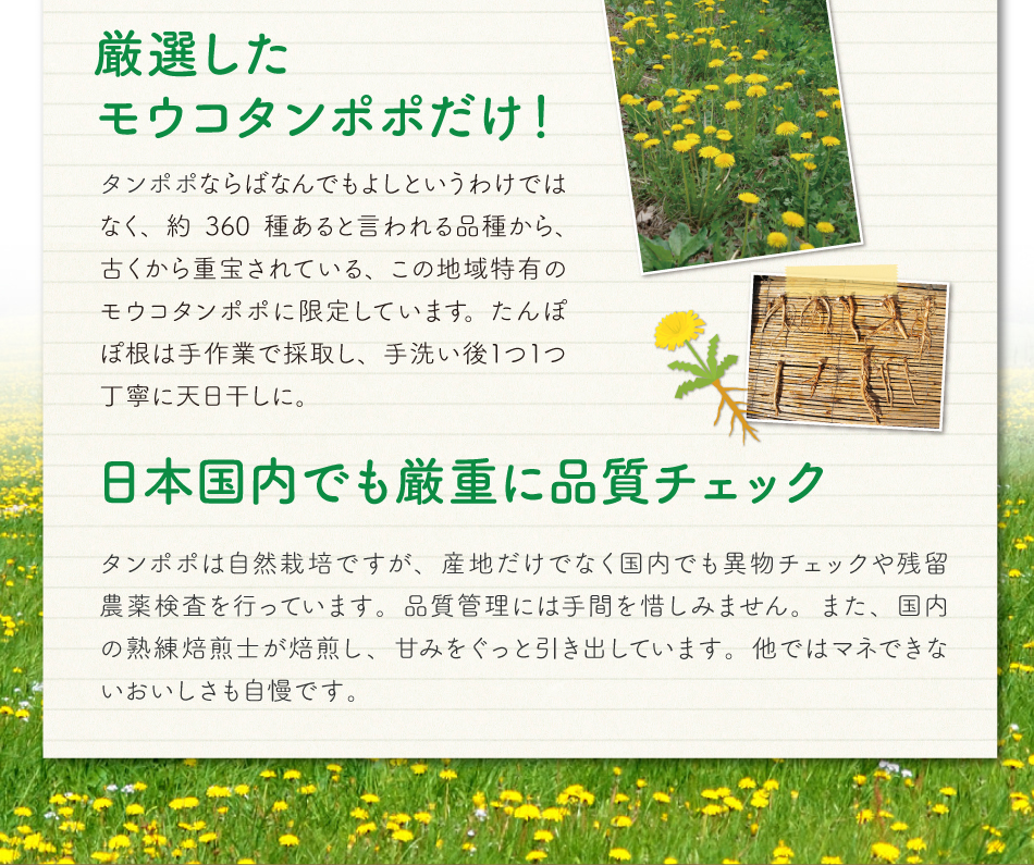 厳選したモウコタンポポだけ!・日本国内でも厳重に品質チェック