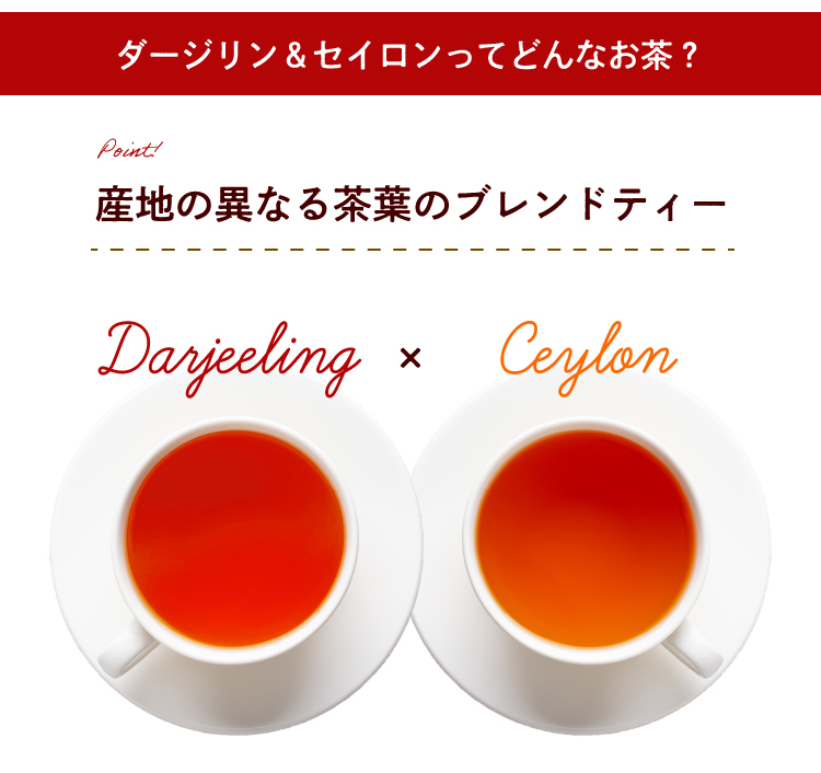 人気ブランドを アバンス アールグレイ 紅茶 三角ティーバッグ 50P×6個