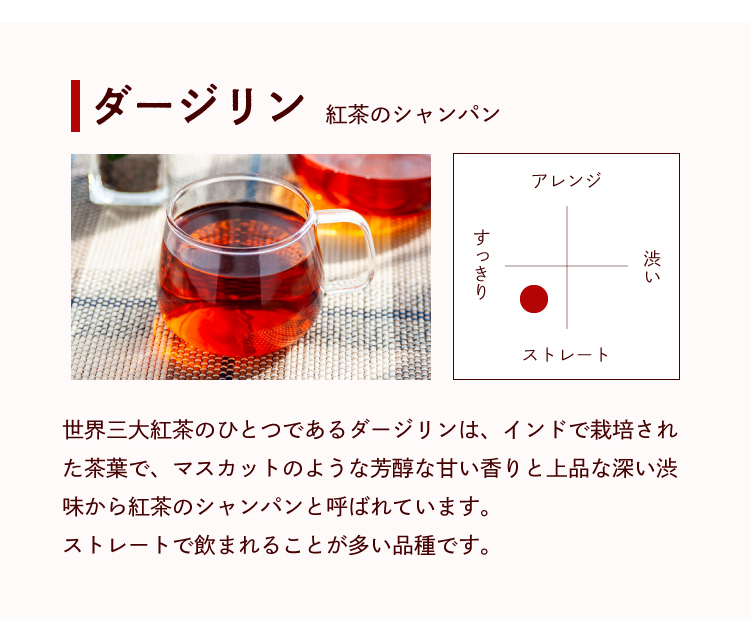 【ダージリン】紅茶のシャンパン