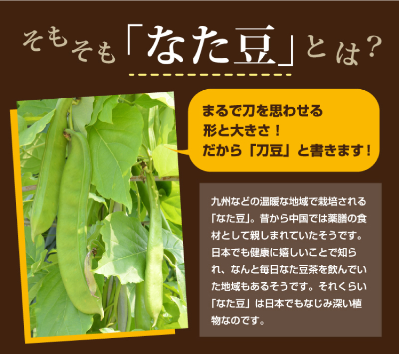 国産なたまめ茶
