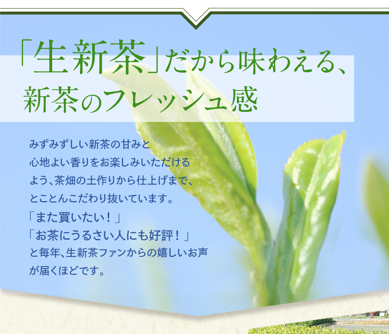 「生」だから味わえる、新茶のフレッシュ感　みずみずしい新茶の甘みと心地よい香りをお楽しみいただけるよう、茶畑の土作りから仕上げまで、とことんこだわり抜いています。「また買いたい!」「お茶にうるさい人にも好評!」と毎年生新茶ファンからの嬉しいお声が届くほどです。