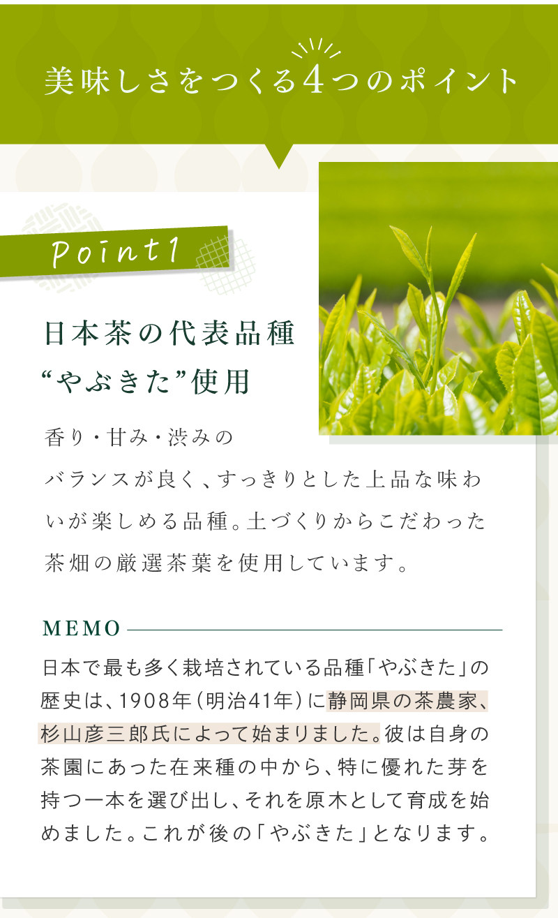 茶畑名人 生新茶