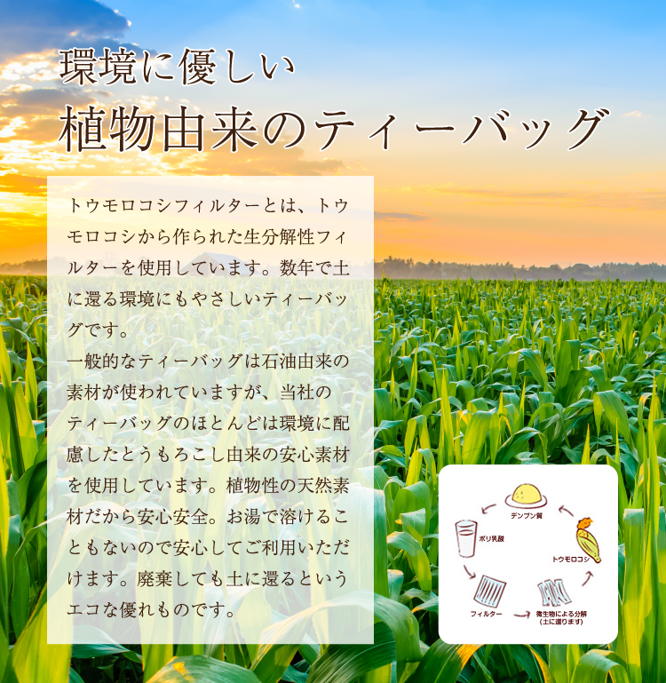 環境にやさしい植物由来のティーバッグ