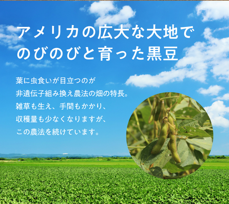 広大な大地でのびのびと育った黒豆