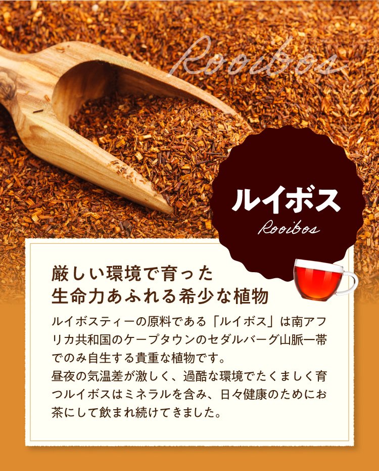 【ルイボス】ミネラルを含み、日々健康のためにお茶にして飲まれ続けてきました。