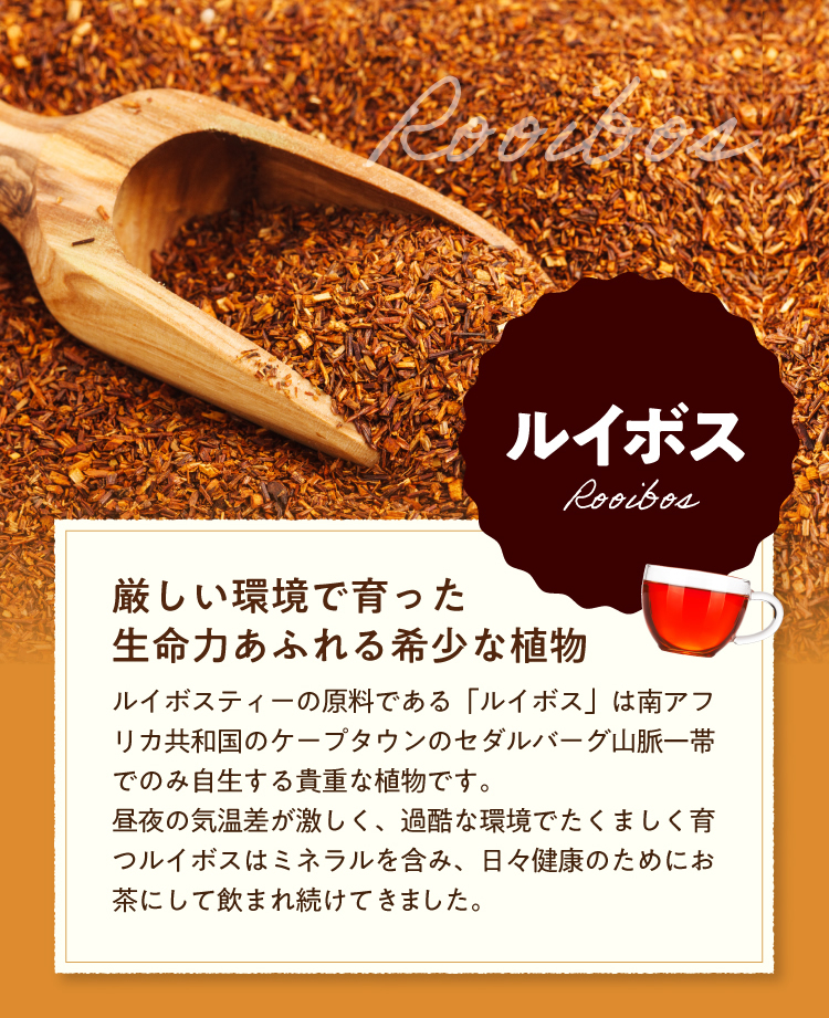 【ルイボス】ミネラルを含み、日々健康のためにお茶にして飲まれ続けられてきました