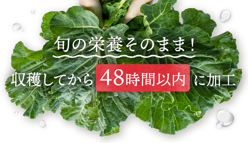 旬の栄養そのまま！収穫してから48時間以内に加工