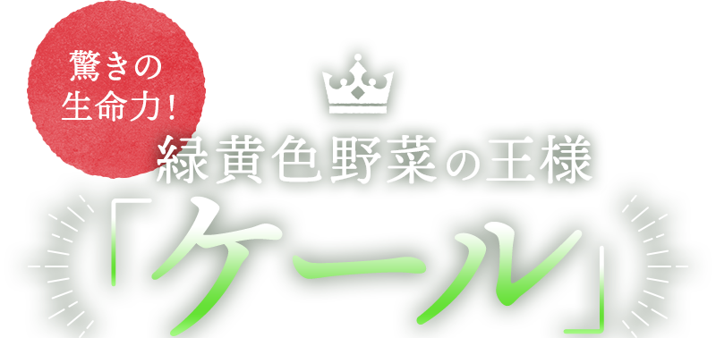 驚きの生命力！緑黄色野菜の王様「ケール」