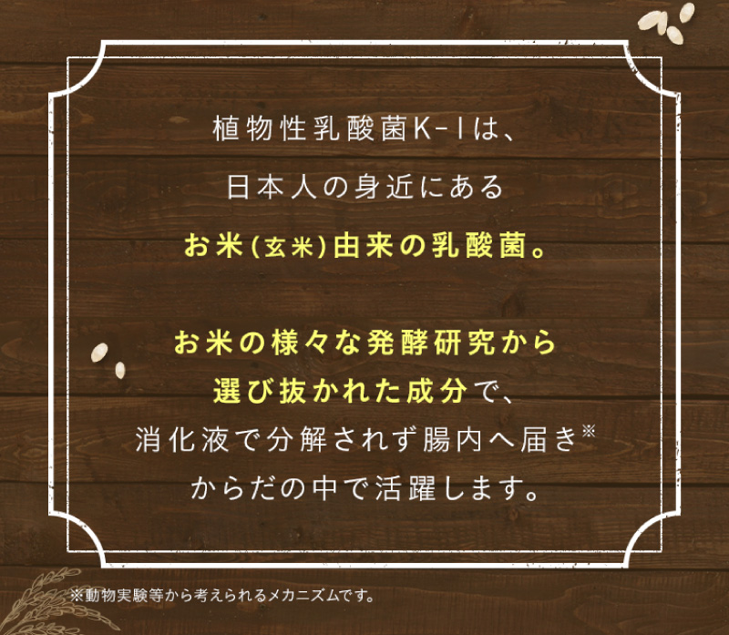 植物性乳酸菌K-1は、日本人の身近にあるお米（玄米）由来の乳酸菌。お米の様々な発酵研究から選び抜かれた成分で、消化液で分解されず腸内へ届きからだの中で活躍します。