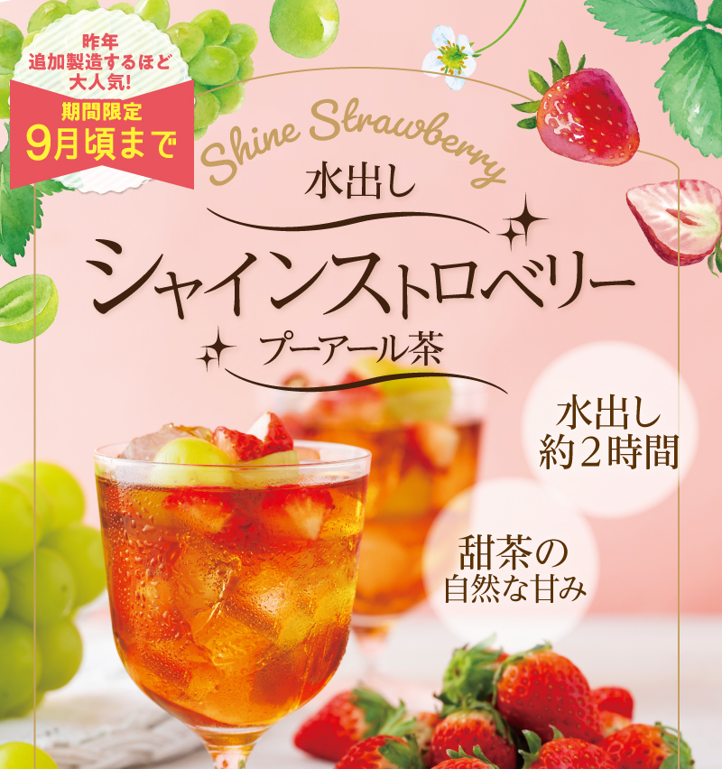 水出しシャインストロベリープーアール茶