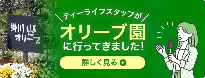 ティーライフスタッフがオリーブ園に行ってきました！詳しく見る