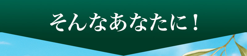そんなあなたに!