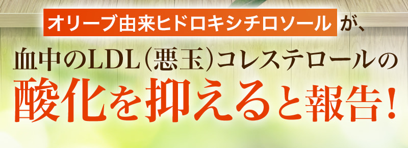 オリーブ由来ヒドロキシチロソールが、血中のLDL(悪玉)コレステロールの酸化を抑えると報告!