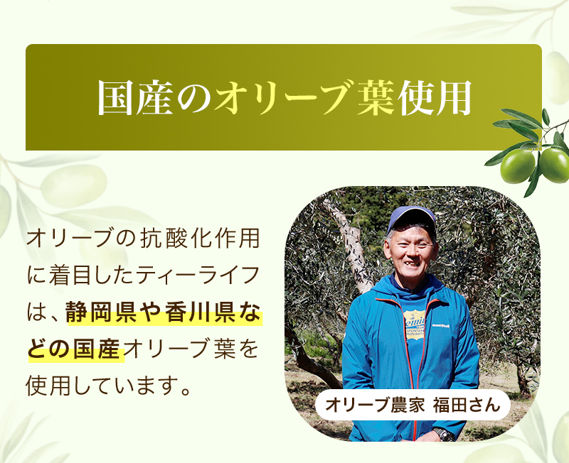 静岡県産オリーブ葉使用 オリーブの抗酸化作用に着目したティーライフは、静岡県や香川県などの国産オリーブ葉を使用しています! オリーブ農家 福田さん