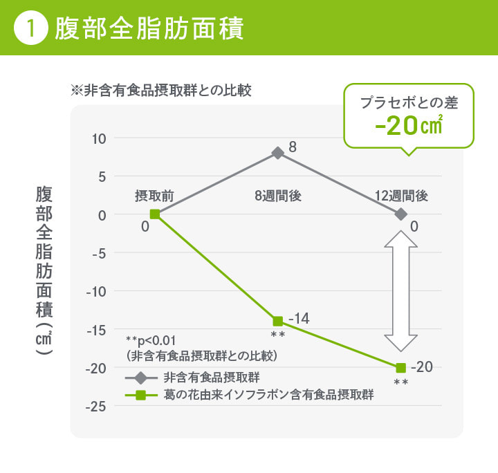 腹部全脂肪面積