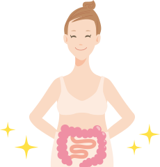 腸内環境イラスト