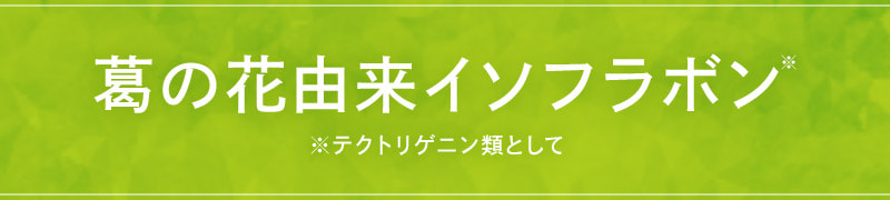 葛の花由来イソフラボン ※テクトリゲニン類として
